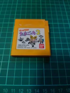 Item thumbnail for item 1b417b94-3225-4d42-9876-bef941bc2703