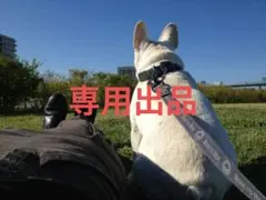 専用出品