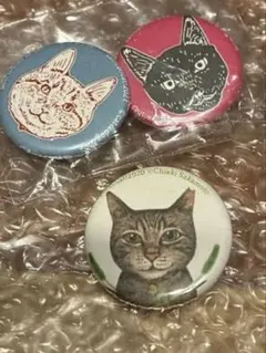 CAT!CAT!CAT!缶バッジ　３つ　樋口佳絵さん　坂本千明さん