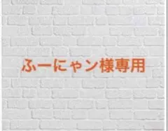 ふーにゃン様専用 最後の陰陽師とその妻 他