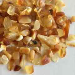 【小さめ粒】バルト海産 琥珀 さざれ石 20g｜穴なし バルティックアンバー