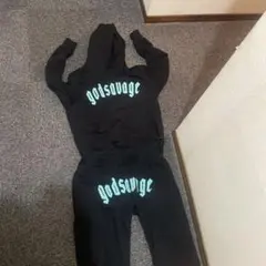 ゴットサヴェージセットアップ