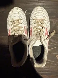 Item thumbnail for item 9f444526-f870-494e-8ac4-a428c4c7d8ca