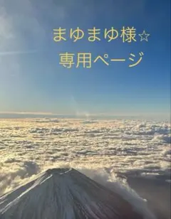 まゆまゆ様⭐︎専用ページ