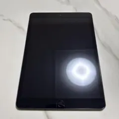 【極美品】iPad 第7世代 本体 Cellular セルラーモデル 箱付き