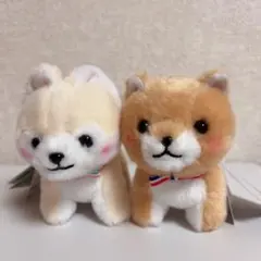 豆しば三兄弟 豆太郎 さすけ ぬいぐるみ