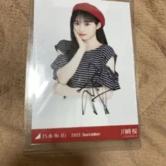 乃木坂46　川﨑桜　歩道橋　チュウ　直筆サイン付き 乃木坂46 川﨑桜 歩道橋 チュウ 直筆サイン付き - メルカリ