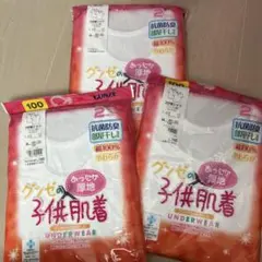 グンゼGUNZE あったか肌着　厚着　半袖　綿100 100センチ２枚入3セット