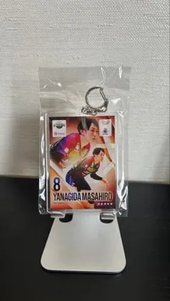 柳田将洋 ALL STAR GAMES キーホルダー 2026年最新】vリーグオールスターの人気アイテム - メルカリ