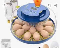 Item thumbnail for item 08eff115-e32c-46ad-82e7-3c4305c1e25d