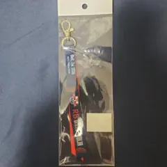 RB大宮アルディージャ 浦和レッズ マッチデーボンフィン キーホルダー