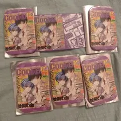 Cool-B 表紙展 ランダム特典カード Magia Mystica 缶バッジ
