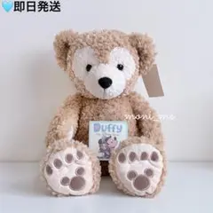 ダッフィー ぬいぐるみ S タグ付き The Disney Bear 平成のサムネイル