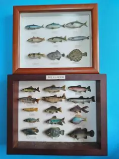 2026年最新】原色淡水魚図鑑の人気アイテム - メルカリ