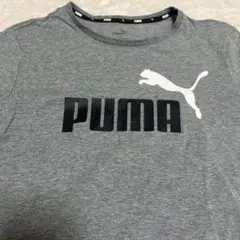 PUMA グレー Tシャツ ロゴ入り
