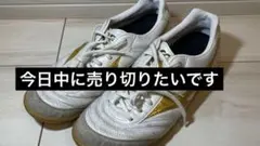 フットサルシューズ モレリア 白金　26
