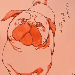【マロちゃん様専用】