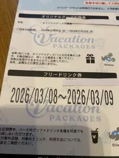 ディズニー　バケパ　バケーションパッケージ　フリードリンク、オリジナルグッズ券