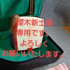 Item thumbnail for item 3c6bed01-d685-4bf5-a8cb-78749551c037