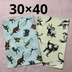 恐竜柄　給食ナフキン2枚セットランチョンマット(30×40)ベージュブルー男の子