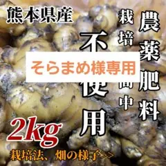 そらまめ様専用 囲い生姜 2kg