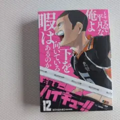 ハイキュー!! 12巻 コンビニコミック