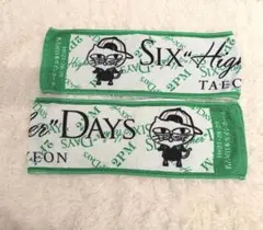 2PM テギョン OK CAT ライブグッズ タオル