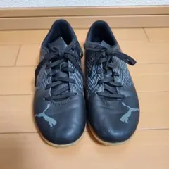 Item thumbnail for item 786ee391-a546-4093-b548-b448413c1d3a