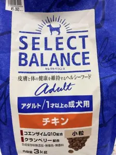 Item thumbnail for item d9d84a21-b091-434b-b988-2a2920935117