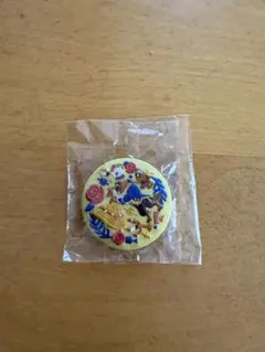 ディズニー 刺繍缶バッジ2 美女と野獣