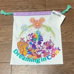 ディズニー　きんちゃく
