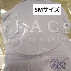 VIAGE ビューティアップナイトブラ SMサイズ パープル