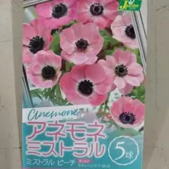 maromaro111様 リクエスト 2点 まとめ商品