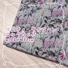 Item thumbnail for item 487f5303-66d3-4256-b1c3-b268205de43e