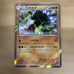 ジガルデ：スペシャルパック ジガルデ スペシャルセット PROMO XY