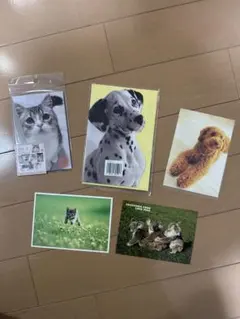 Item thumbnail for item d4ed789f-761a-4b60-91ec-6f8cf5cd3807