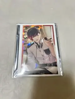 ボイスビジュアルカード 2024 ヴェール・ヴァーミリオン