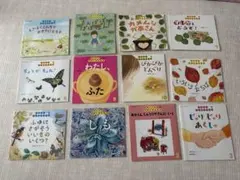 ちいさなかがくのとも 2023年度　12冊セット