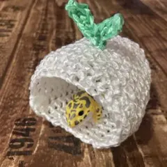 Item thumbnail for item 540f5416-d593-4469-8794-99a1fcbbc53d