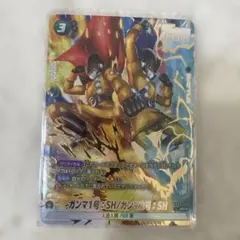 トランクス:GT FB09-110 ガンマ1号:SH/ガンマ2号:SHパラレル