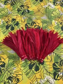 Item thumbnail for item 0ed8c8e8-0cca-4320-b50b-7af81d36a169