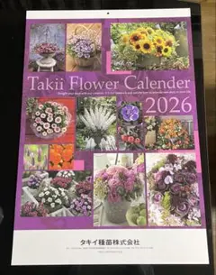 Item thumbnail for item 8b53b166-c8ec-4e5b-abb1-5e7d933cf66e