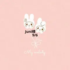 Juni様　おまとめ