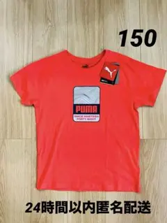 PUMA プーマ 半袖Tシャツ キッズ 150㎝ 【新品タグ付き】