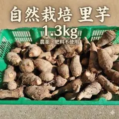 2025年最新】無農薬野菜 里芋の人気アイテム - メルカリ