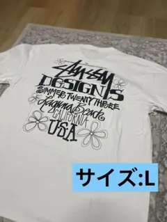 最安値 STUSSY SUMMER LB TEE ホワイト　L