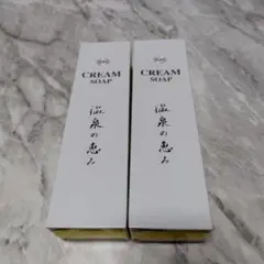 イオン化粧品 ホワイトエッセンス 温泉の恵み 2個セット - メルカリ
