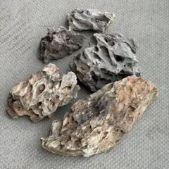 ADA 黄虎石 気孔石 松皮石 親石 良型 その他 セット ADA 黄虎石 気孔石 松皮石 親石 良型 その他 セット - メルカリ