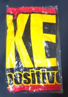 Item thumbnail for item 754829d4-0594-4484-8e1e-49ccae29a17a