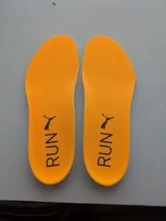 Item thumbnail for item 17576193-a6dc-45d5-9a32-462880291010